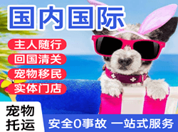 北海福成机场货运国际宠物托运 【国